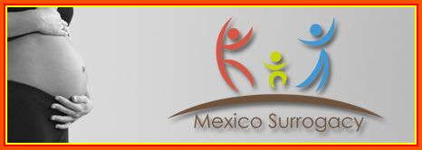 Mexico Surrogacy and PlacidWay Unite to Provide Affordable F'