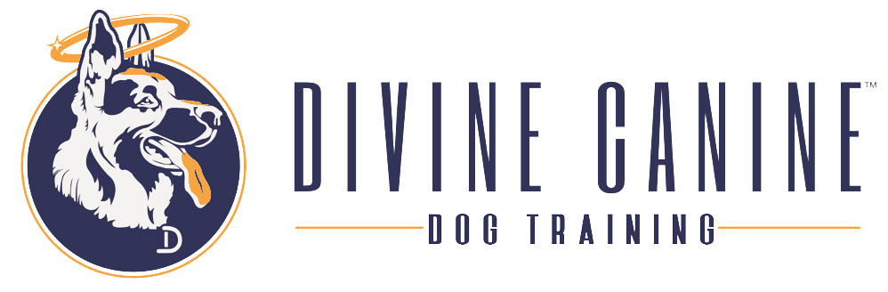 Company Logo For Divine Canine Dog Training'