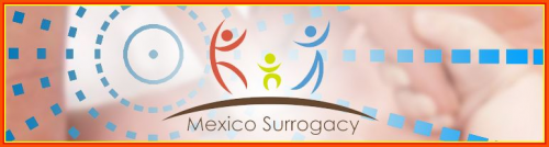Mexico Surrogacy and PlacidWay Unite to Provide Affordable F'
