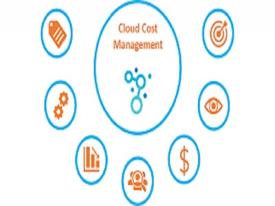 Cloud Cost Management Tools Market
