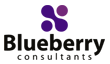 Blueberry logo'