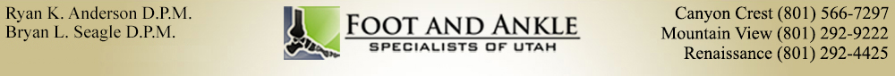 http://www.bountifulfootdoctor.com/'