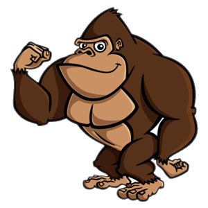 AutoInsuranceApe.com'