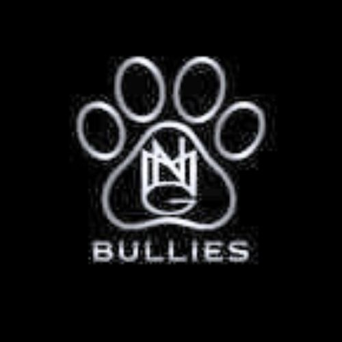 Company Logo For Nmg Bullies'