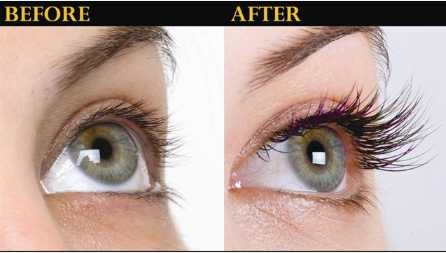 IdolLashResults'