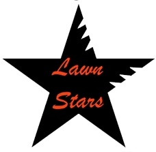 Company Logo For Lawn Stars'