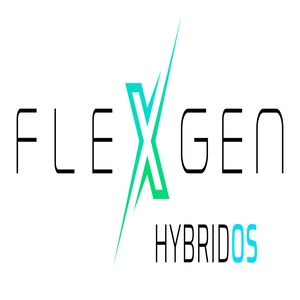 Flexgen