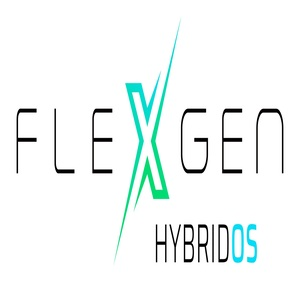 Company Logo For Flexgen'