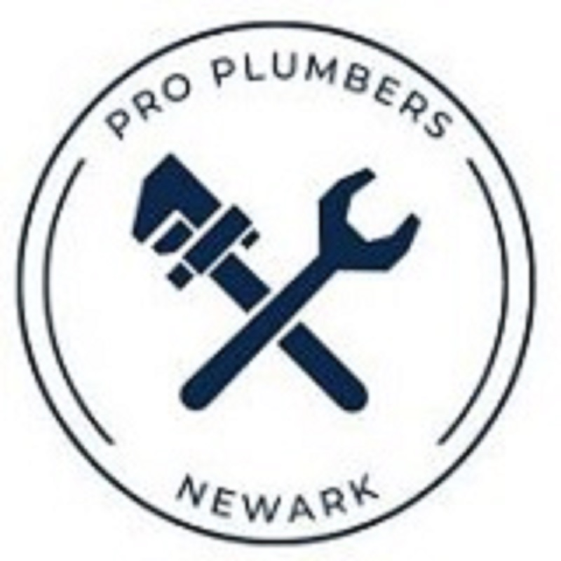 Company Logo For Pro Plumbers Newark'