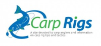 carp rigs