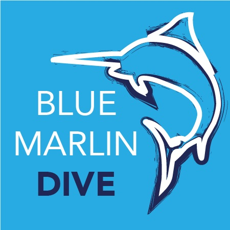 Company Logo For Blue Marlin Dive'