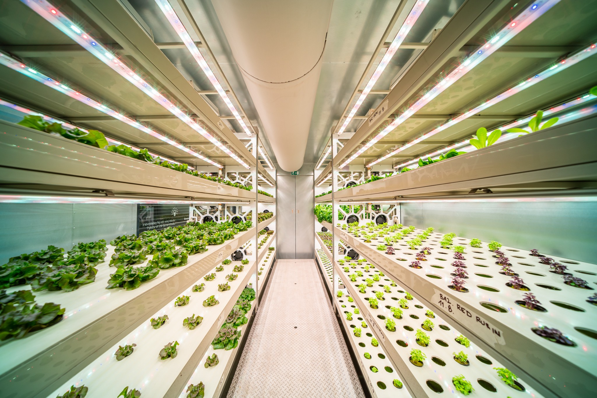 Vertical Farming and Plant Factory Market'