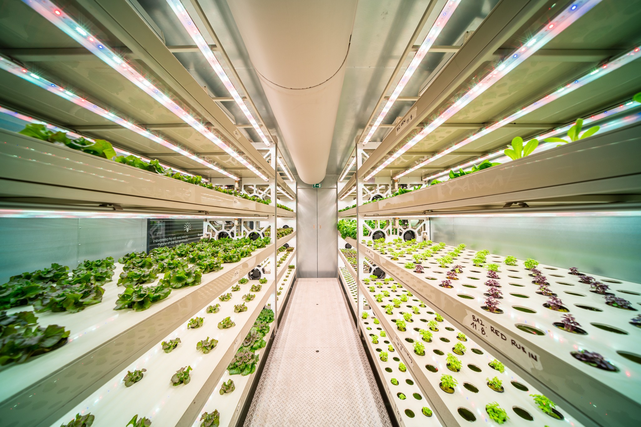 Vertical Farming and Plant Factory Market