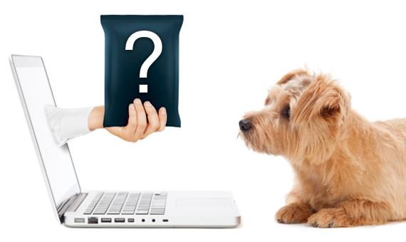 Pet Care E commerce Market