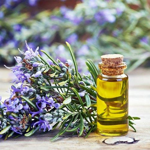 Rosemary Extract