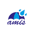 amisconsultants'