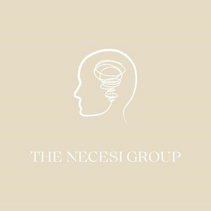 The Necesi Group