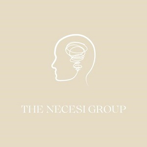 Company Logo For The Necesi Group'