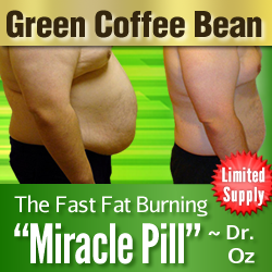 Fat Burner'