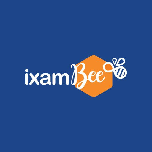 Company Logo For ixamBee'