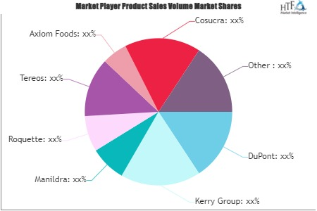 Plant Protein Market'