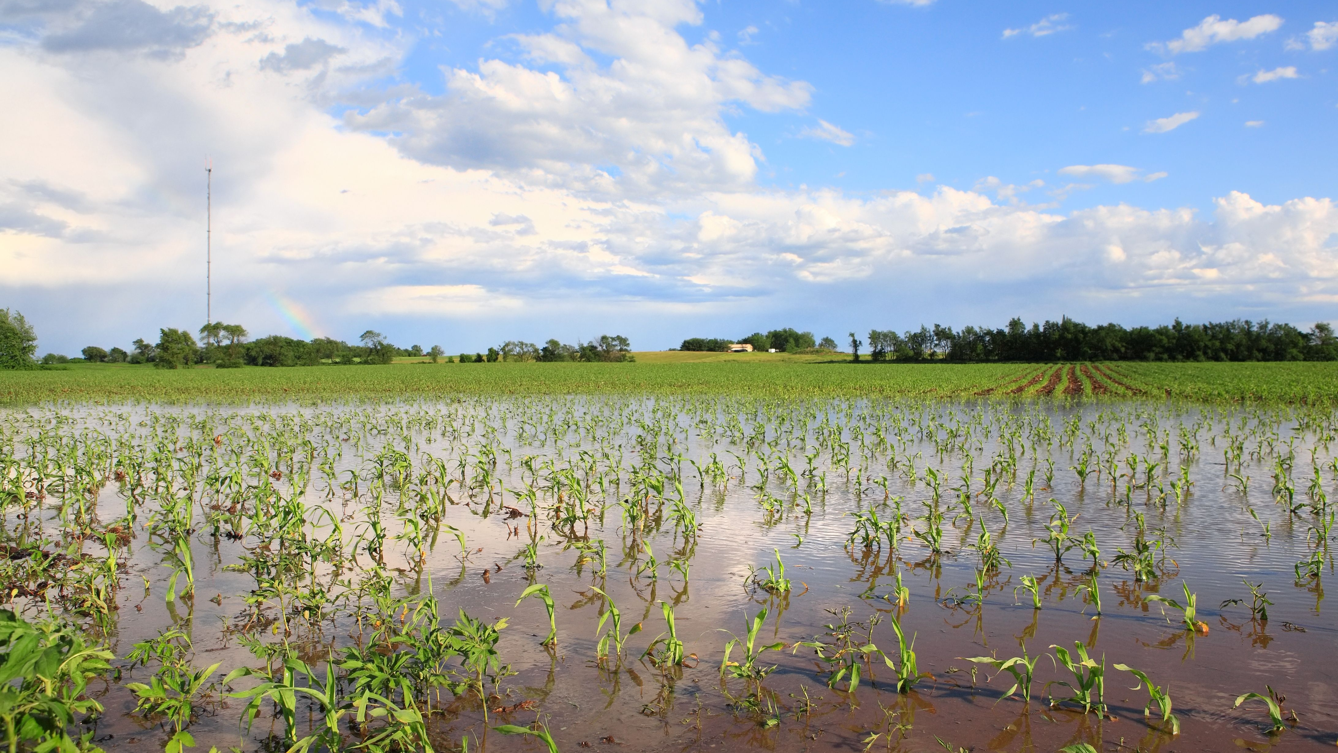 Agriculture Reinsurance Market'