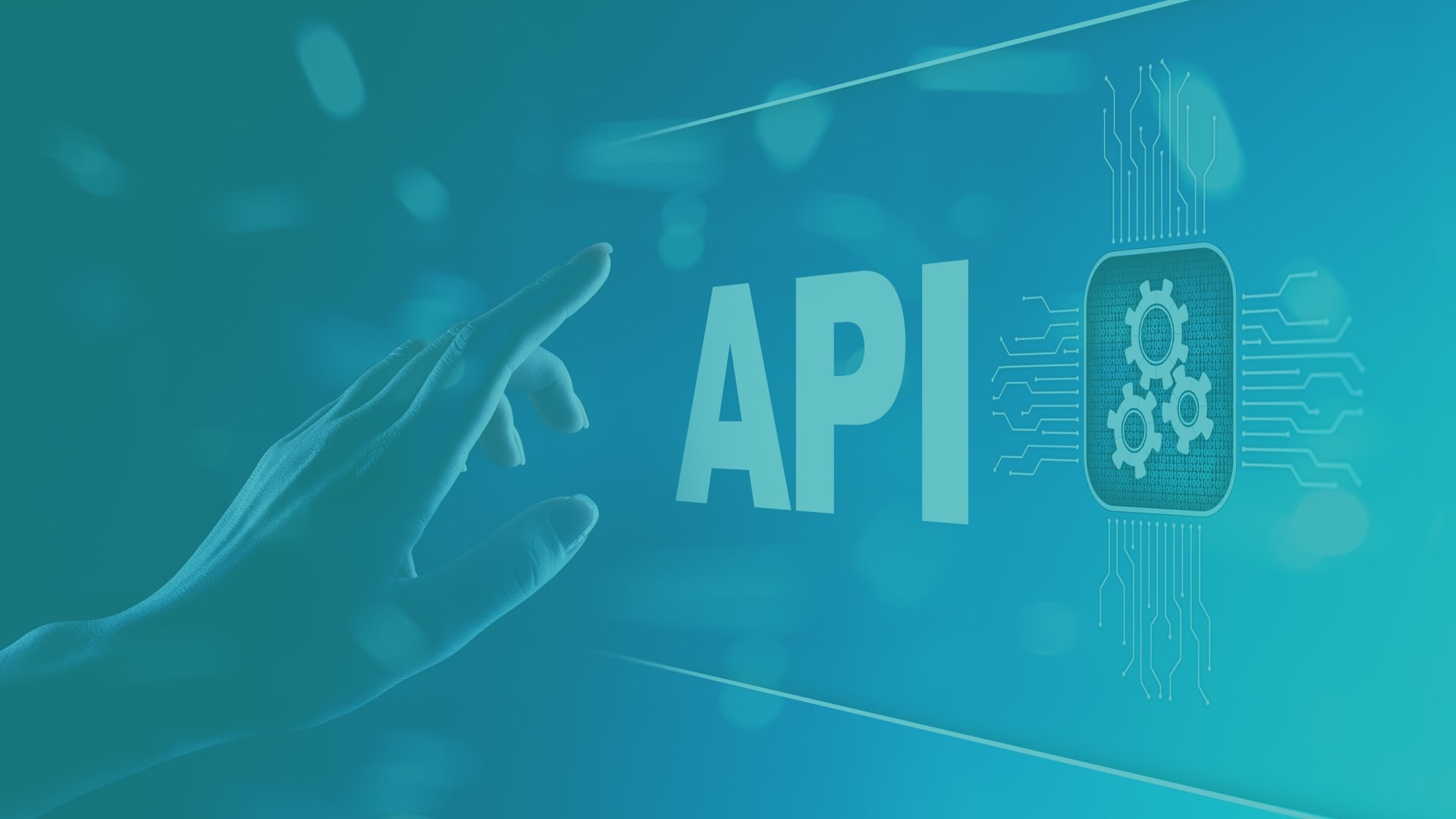 API Management Software Market'