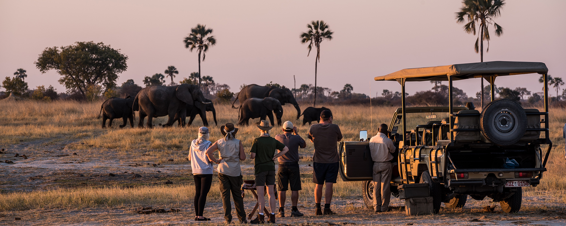 Luxury Safari Tourism Market'