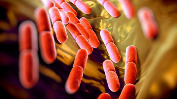 Next Generation Probiotics Market'