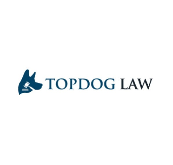 Company Logo For TopDog Law Personal Injury Lawyers'