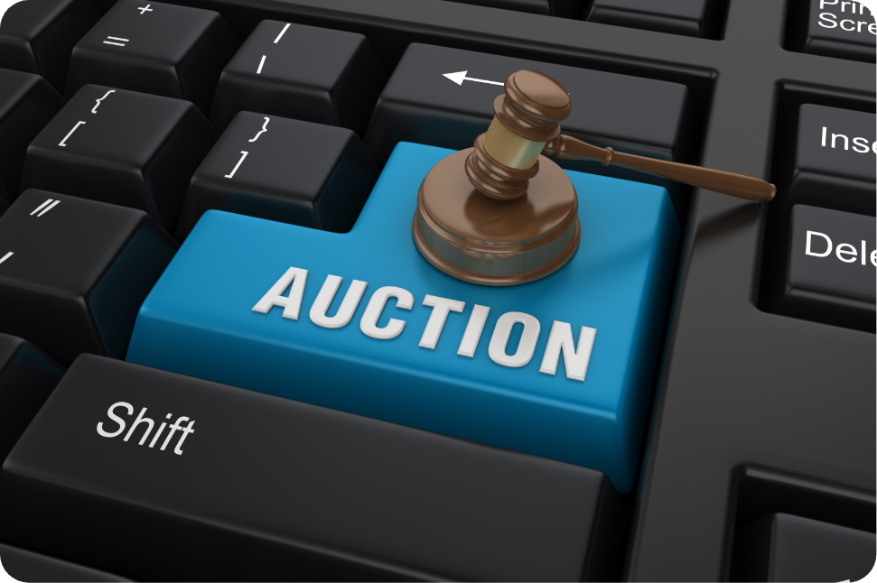 Nonprofit Auction Software Market'