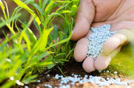 Nitrogen Fertilizer Market'