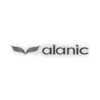 Company Logo For Alanic Global'