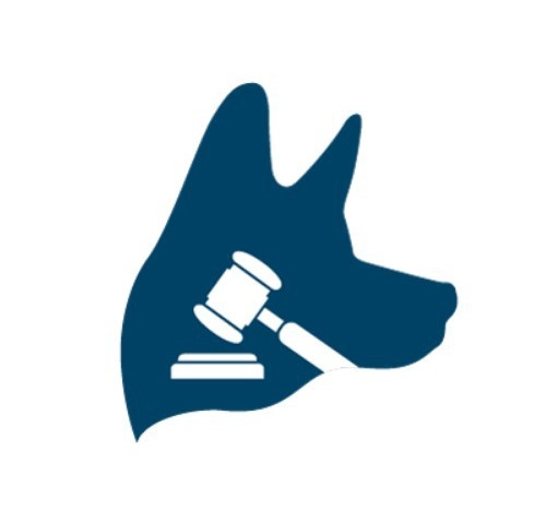 TopDog Law Personal Injury Lawyers Logo