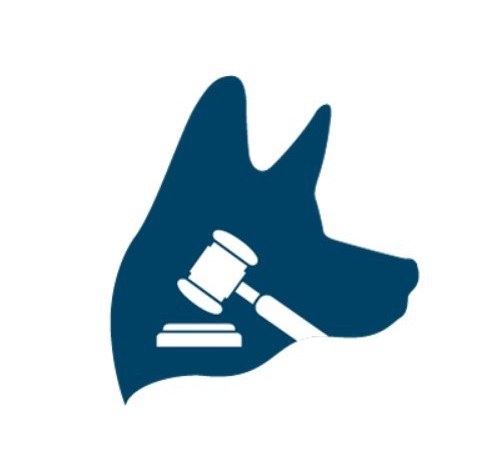 Company Logo For TopDog Law Personal Injury Lawyers'