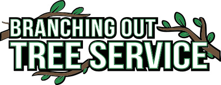 Company Logo For Tree Cutting & Trimming Huntington'