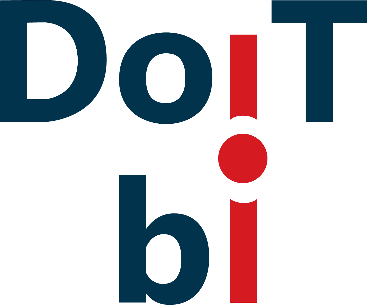 Company Logo For DOIT-BI'