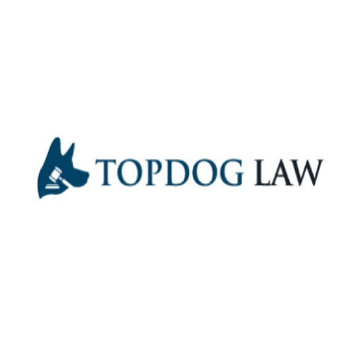 Company Logo For TopDog Law Personal Injury Lawyers'