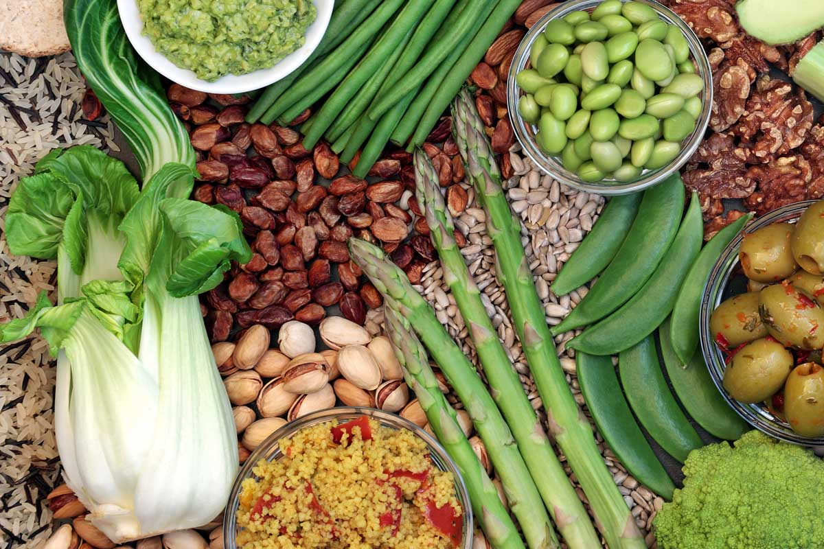 Plant Protein Market'
