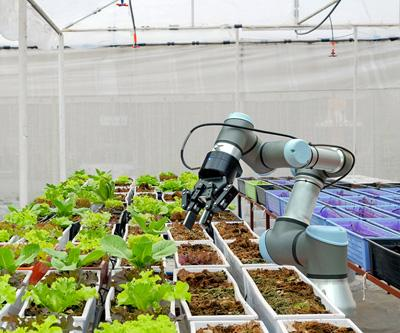Agricultural Robots and Mechatronics Market'