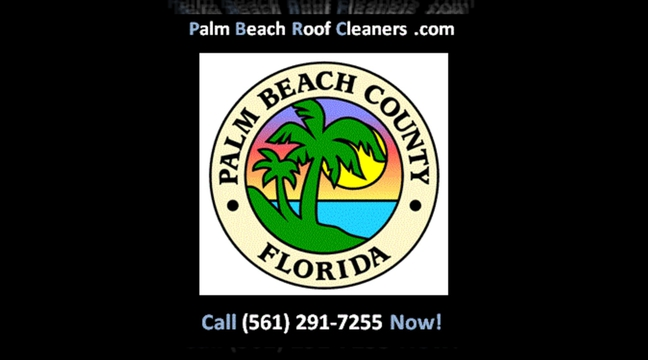 Palm Beach Roof Cleaners Logo