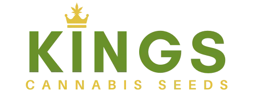 Kings Seedbank