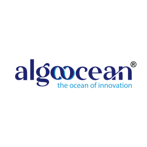 Company Logo For Algoocean Technologies Pvt Ltd'