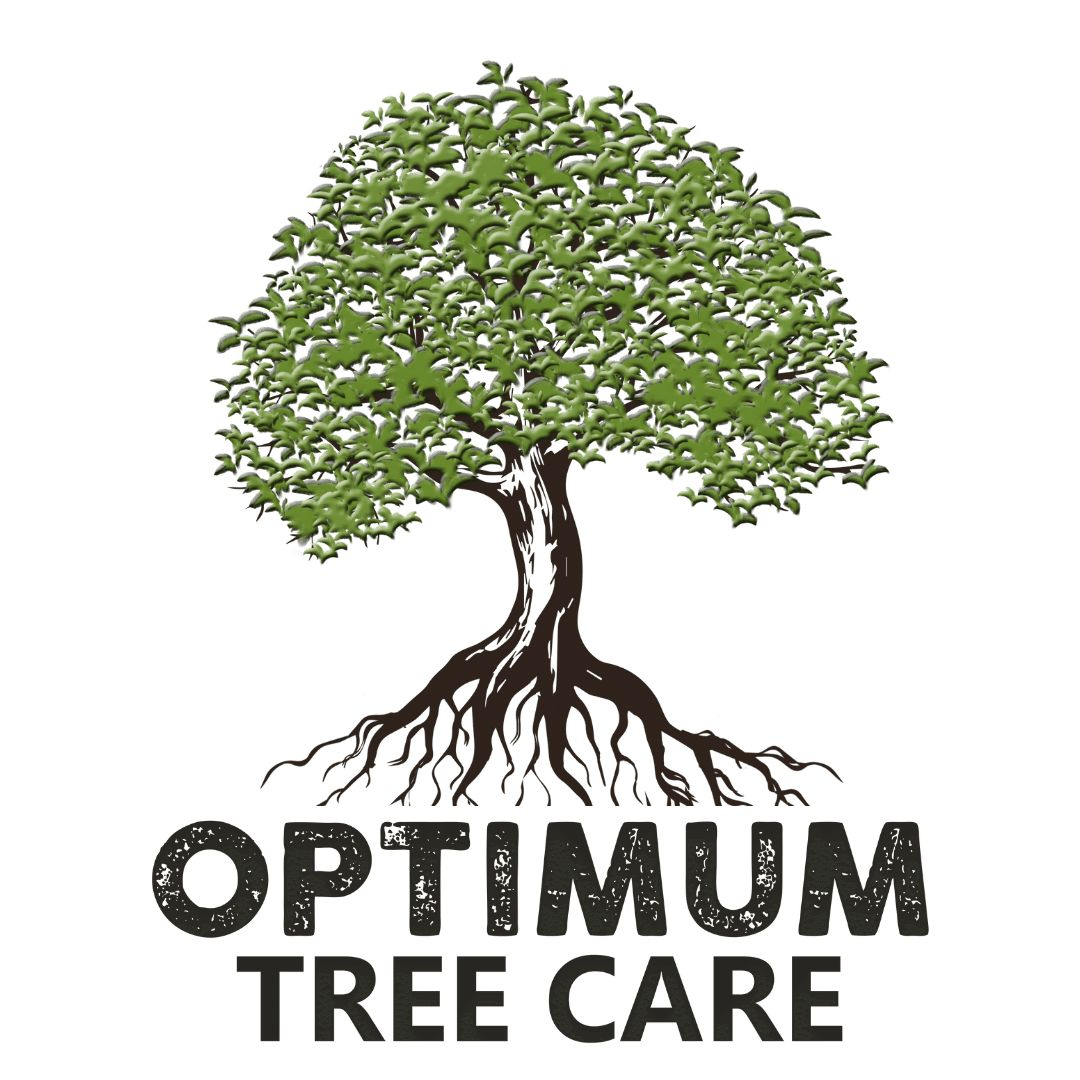 Company Logo For Optimum Tree Care'