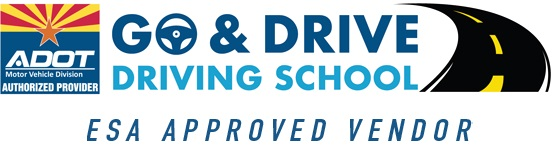 Company Logo For Go &amp; Drive Driving School'