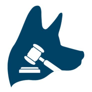 Company Logo For TopDog Law Personal Injury Lawyers'