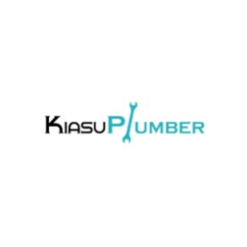 Company Logo For kiasuplumber north'