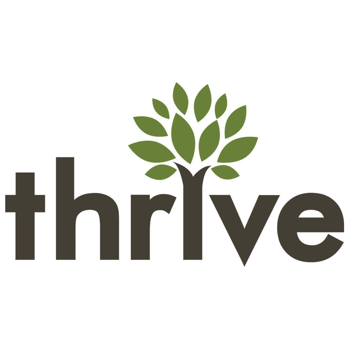 Company Logo For Thrive Internet Marketing Agency'