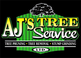Company Logo For AJ's Tree Service'