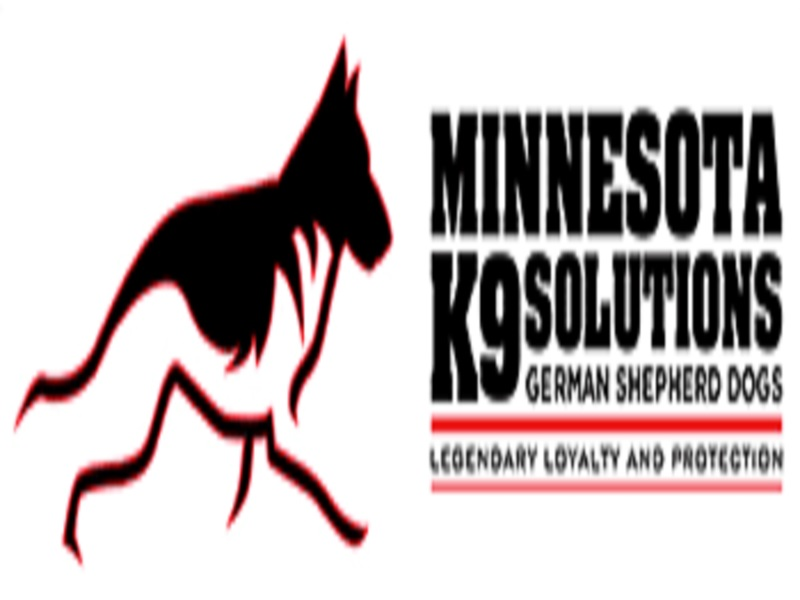 Minnesota Canine Solutions'